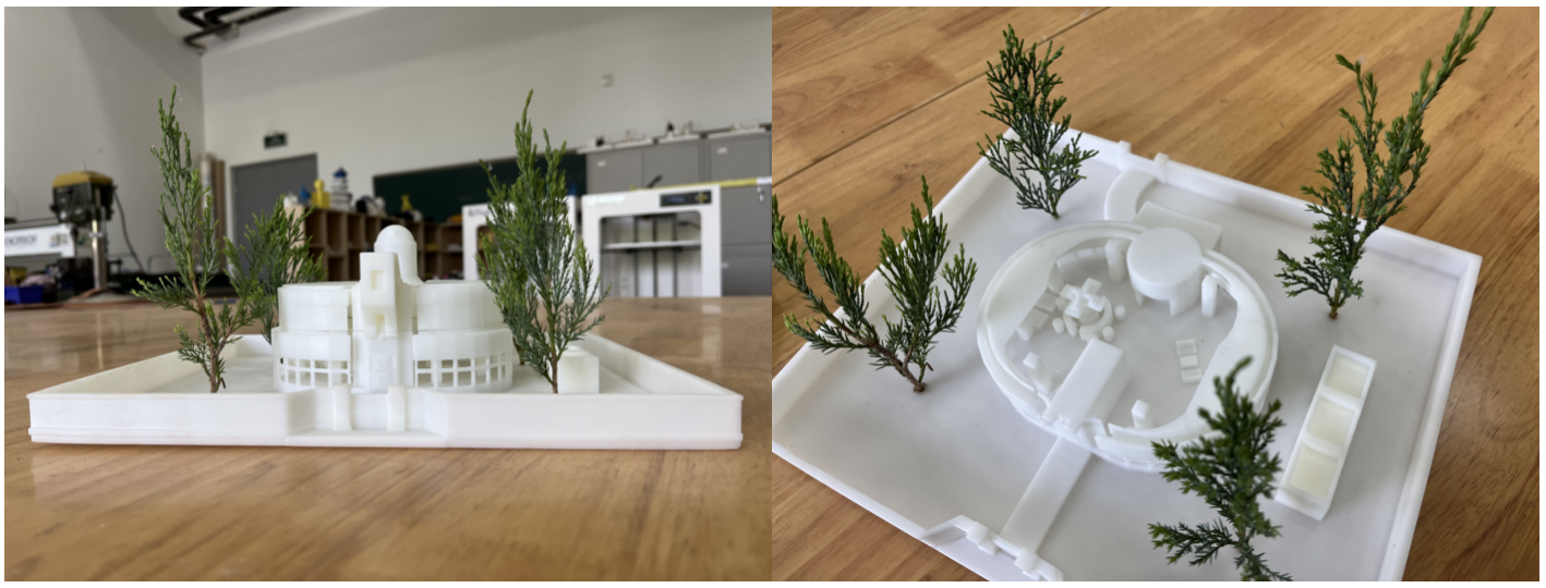 Agasa Printed